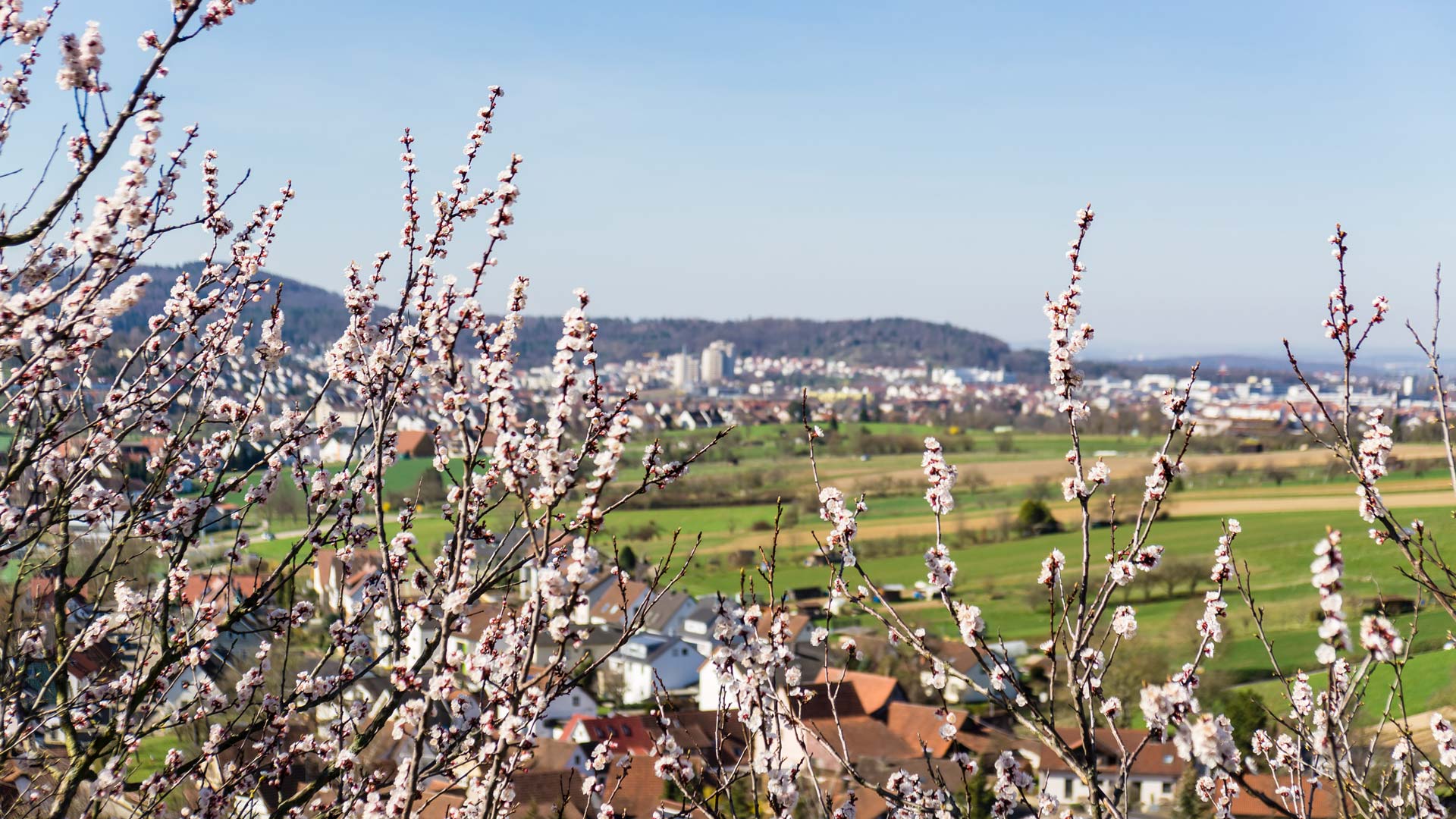 Blick auf Baach und Winnenden